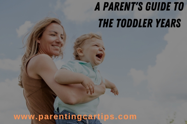 A Parent's Guide to the Toddler Years